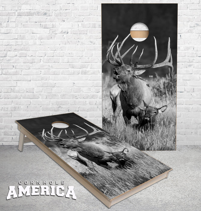 Bugling Bull Elk with Cow black white cornhole boards