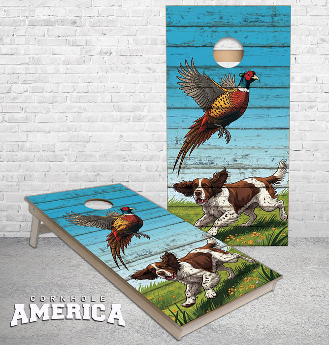 Pheasant Hunting with English Springer Spaniel dog cornhole boards