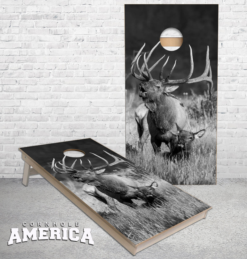 Bugling Bull Elk with Cow black white cornhole boards