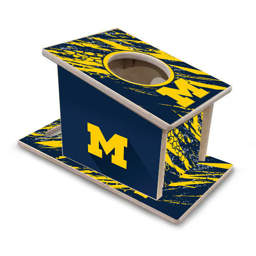 Michigan Wolverines theme Airmail Box