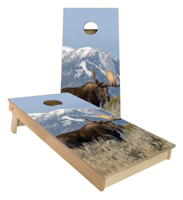 Moose Cornhole Boards